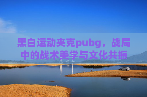 黑白运动夹克pubg,战局中的战术美学与文化共振 黑白运动夹克pubg,战局中的战术美学与文化共振