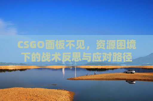 CSGO面板不见，资源困境下的战术反思与应对路径