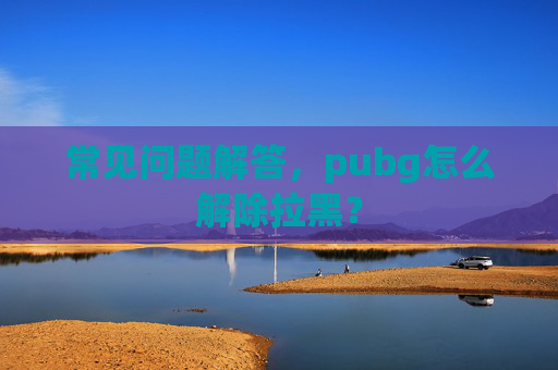 常见问题解答，pubg怎么解除拉黑？