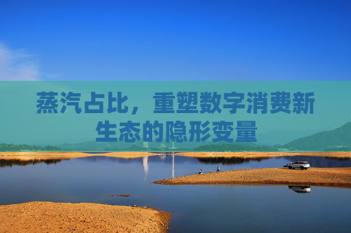 蒸汽占比，重塑数字消费新生态的隐形变量