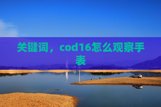 关键词，cod16怎么观察手表