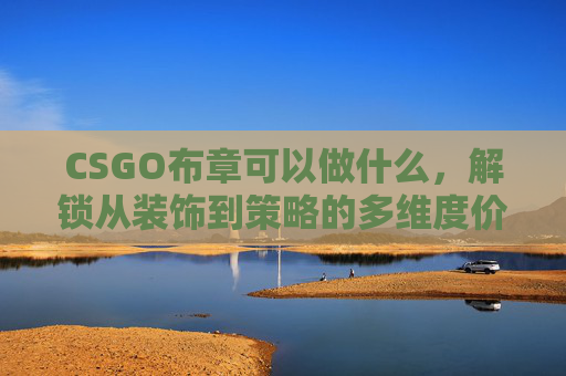 CSGO布章可以做什么,解锁从装饰到策略的多维度价值 CSGO布章可以做什么,解锁从装饰到策略的多维度价值