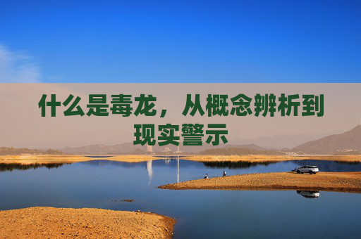 什么是毒龙，从概念辨析到现实警示