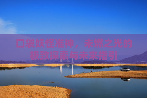 口袋妖怪准神，未燃之光的极致探索与未来指引