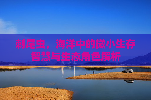 刺尾虫，海洋中的微小生存智慧与生态角色解析