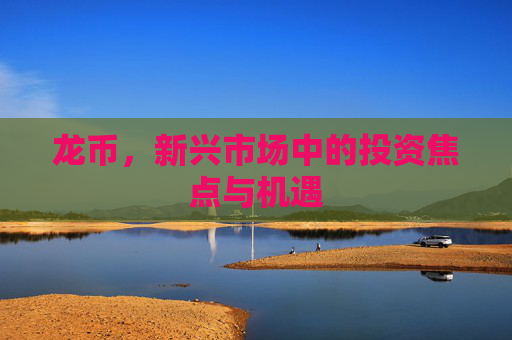 龙币,新兴市场中的投资焦点与机遇 龙币,新兴市场中的投资焦点与机遇
