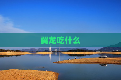 翼龙吃什么