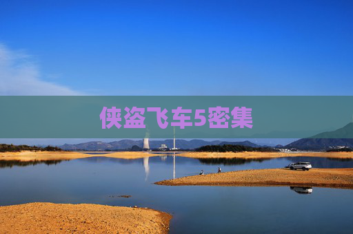 侠盗飞车5密集