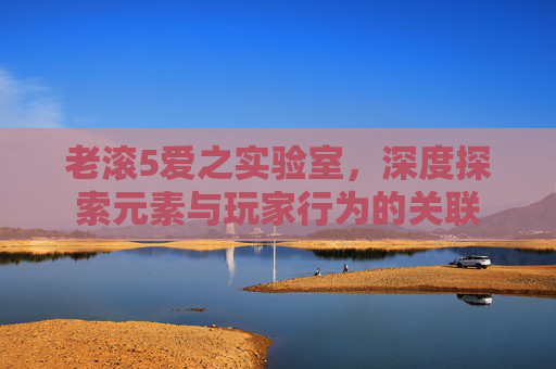 老滚5爱之实验室，深度探索元素与玩家行为的关联