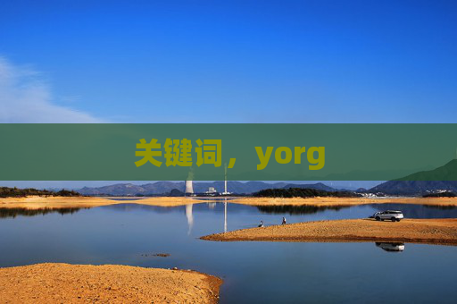 关键词，yorg