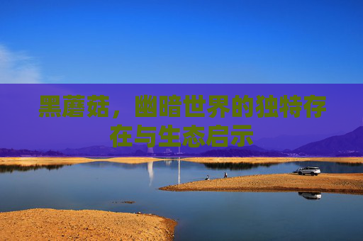黑蘑菇，幽暗世界的独特存在与生态启示
