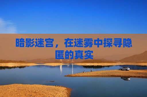 暗影迷宫，在迷雾中探寻隐匿的真实