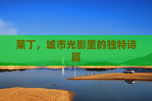 莱丁，城市光影里的独特诗篇