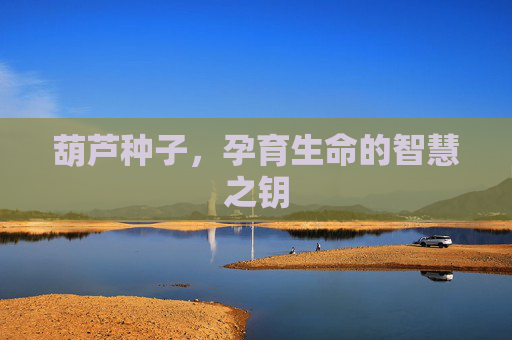 葫芦种子,孕育生命的智慧之钥 葫芦种子,孕育生命的智慧之钥