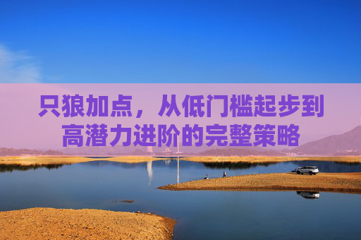 只狼加点，从低门槛起步到高潜力进阶的完整策略