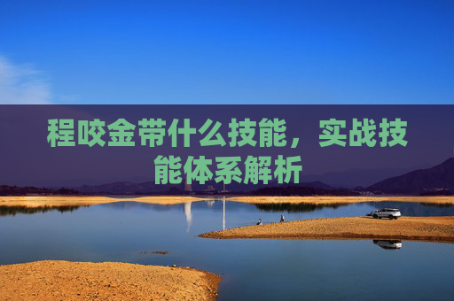 程咬金带什么技能，实战技能体系解析