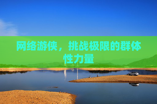 网络游侠，挑战极限的群体性力量