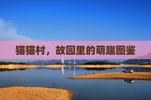 猫猫村,故园里的萌趣图鉴 猫猫村,故园里的萌趣图鉴