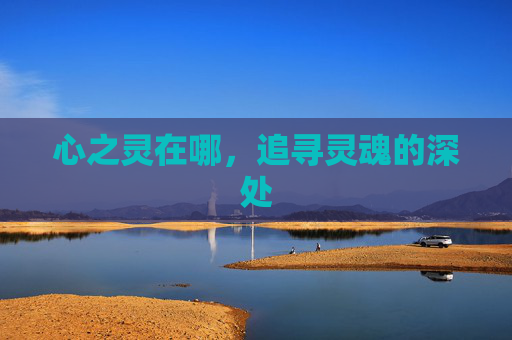 心之灵在哪,追寻灵魂的深处 心之灵在哪,追寻灵魂的深处