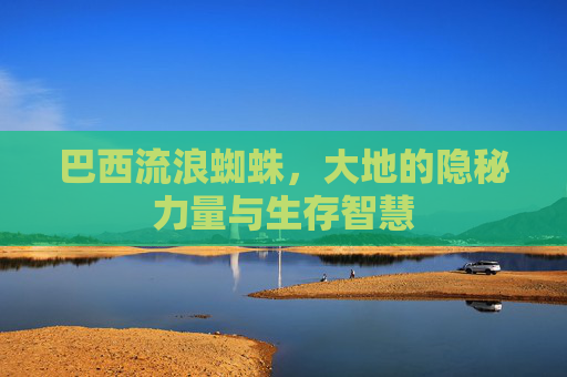 巴西流浪蜘蛛，大地的隐秘力量与生存智慧