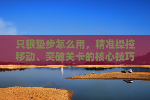 只狼垫步怎么用，精准操控移动、突破关卡的核心技巧