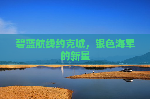 碧蓝航线约克城，银色海军的新星