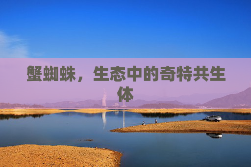 蟹蜘蛛,生态中的奇特共生体 蟹蜘蛛,生态中的奇特共生体