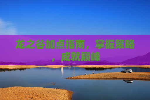 龙之谷加点指南，掌握策略，成就巅峰