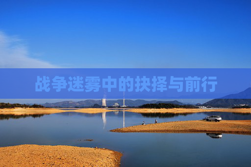 战争迷雾中的抉择与前行