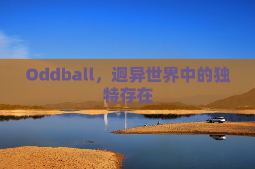 Oddball，迥异世界中的独特存在