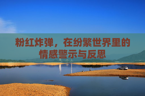 粉红炸弹，在纷繁世界里的情感警示与反思