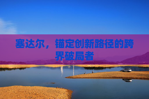 塞达尔，锚定创新路径的跨界破局者