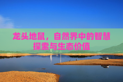龙头地鼠，自然界中的智慧探索与生态价值