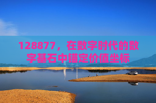 128877，在数字时代的数字基石中锚定价值坐标