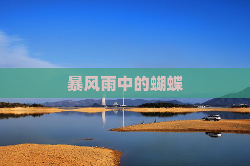 暴风雨中的蝴蝶