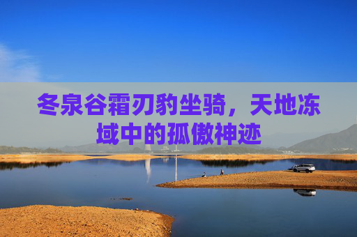 冬泉谷霜刃豹坐骑,天地冻域中的孤傲神迹 冬泉谷霜刃豹坐骑,天地冻域中的孤傲神迹