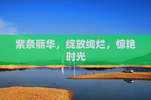 紫条丽华，绽放绚烂，惊艳时光
