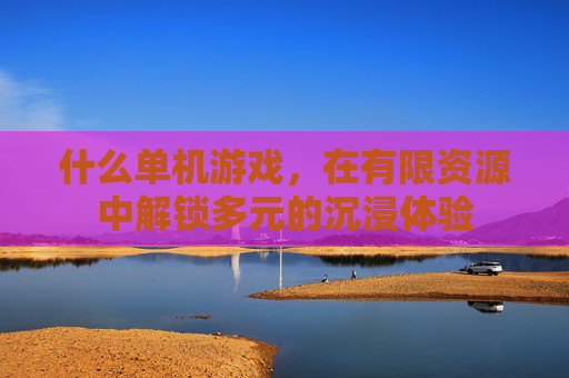 什么单机游戏,在有限资源中解锁多元的沉浸体验 什么单机游戏,在有限资源中解锁多元的沉浸体验