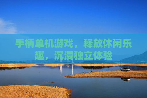 手柄单机游戏，释放休闲乐趣，沉浸独立体验