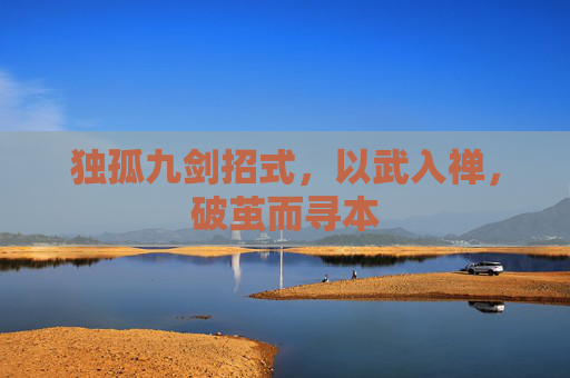 独孤九剑招式，以武入禅，破茧而寻本