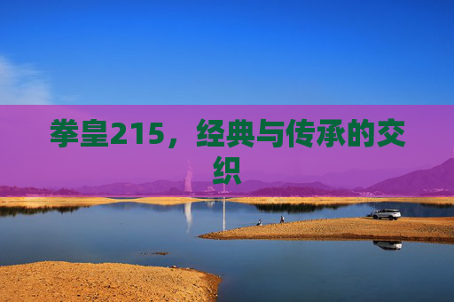 拳皇215,经典与传承的交织 拳皇215,经典与传承的交织