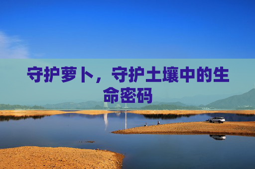 守护萝卜，守护土壤中的生命密码