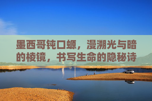 墨西哥钝口螈,漫溯光与暗的棱镜,书写生命的隐秘诗行 墨西哥钝口螈,漫溯光与暗的棱镜,书写生命的隐秘诗行