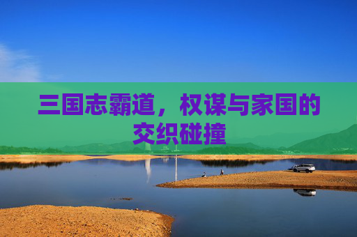 三国志霸道，权谋与家国的交织碰撞