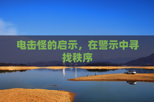 电击怪的启示，在警示中寻找秩序
