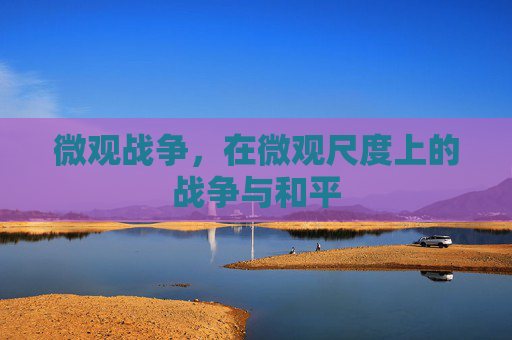 微观战争，在微观尺度上的战争与和平