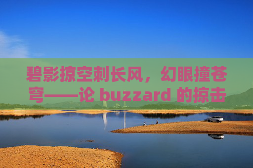 碧影掠空刺长风，幻眼撞苍穹——论 buzzard 的掠击美学