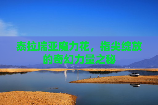 泰拉瑞亚魔力花，指尖绽放的奇幻力量之秘