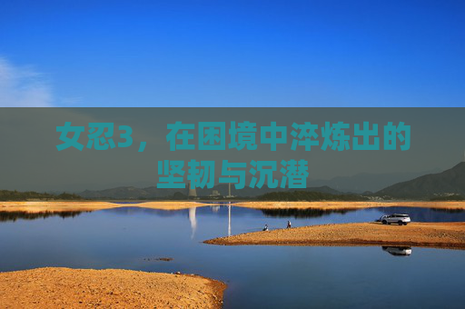 女忍3,在困境中淬炼出的坚韧与沉潜 女忍3,在困境中淬炼出的坚韧与沉潜