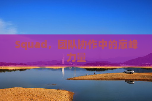 Squad，团队协作中的巅峰力量